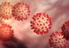Corona Virus Update : देश में फिर फैल रहा है कोरोना का प्रकोप